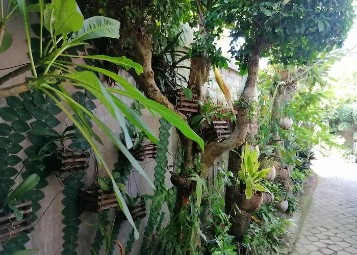 Coliving Bali Sweet Tabanan,daily & Monthly Stay,kost Bulanan ホームステイ *