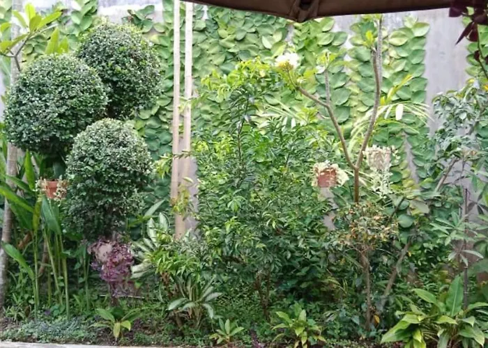 ホームステイ Coliving Bali Sweet Tabanan,daily & Monthly Stay,kost Bulanan Selemadeg