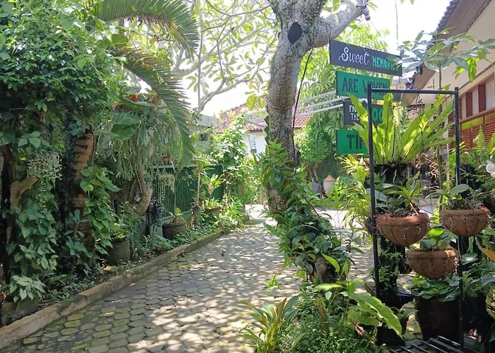 Coliving Bali Sweet Tabanan,daily & Monthly Stay,kost Bulanan