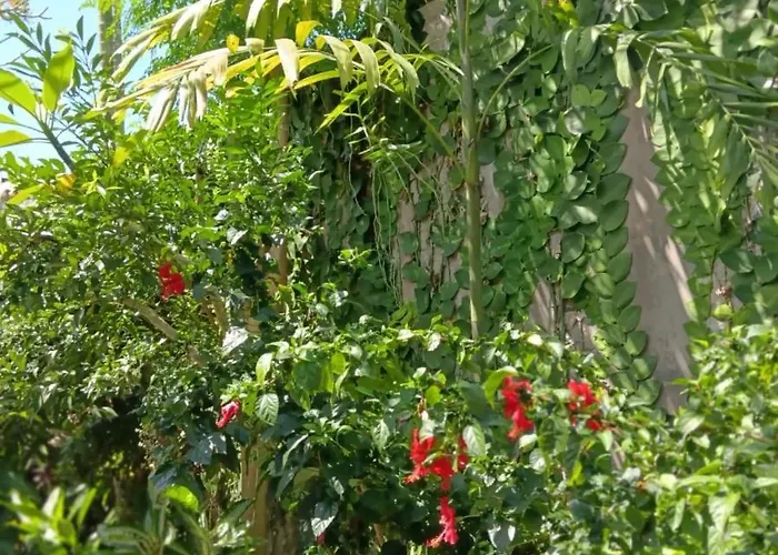 Coliving Bali Sweet Tabanan,daily & Monthly Stay,kost Bulanan ホームステイ