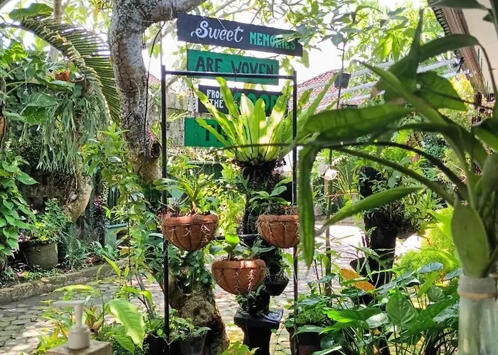 Coliving Bali Sweet Tabanan,daily & Monthly Stay,kost Bulanan