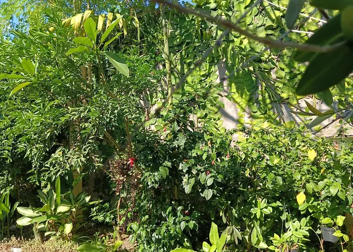 Coliving Bali Sweet Tabanan,daily & Monthly Stay,kost Bulanan