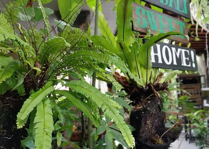 Coliving Bali Sweet Tabanan,daily & Monthly Stay,kost Bulanan ホームステイ Selemadeg