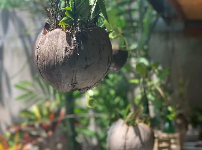 ホームステイ Coliving Bali Sweet Tabanan,daily & Monthly Stay,kost Bulanan